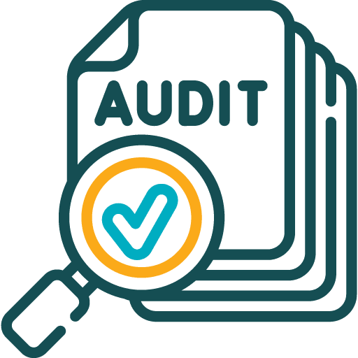 Audit